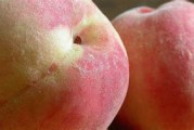孕妇能不能吃桃子每天都吃